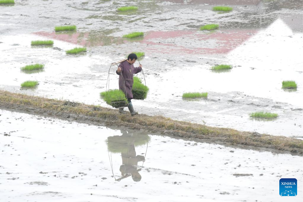 Farming activities in full swing across China