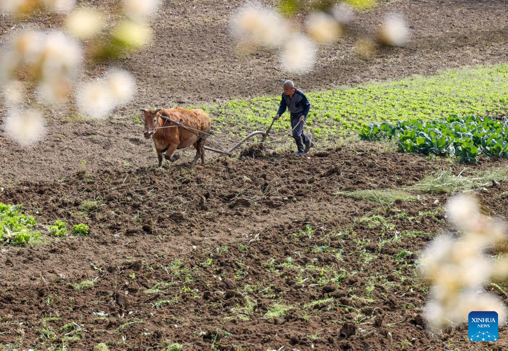 Farming activities in full swing across China