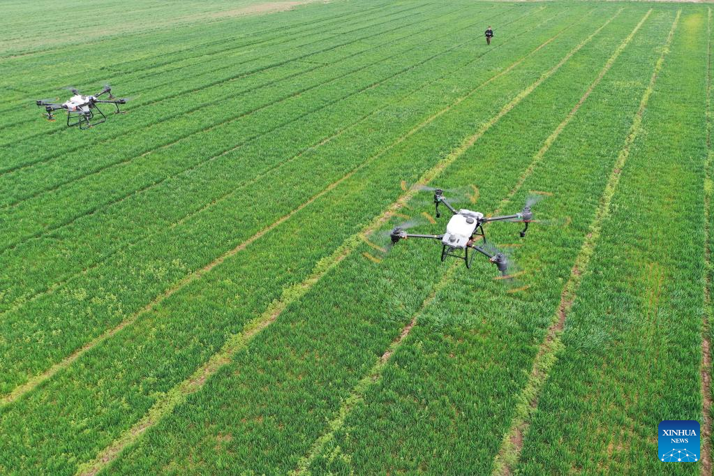Farming activities in full swing across China