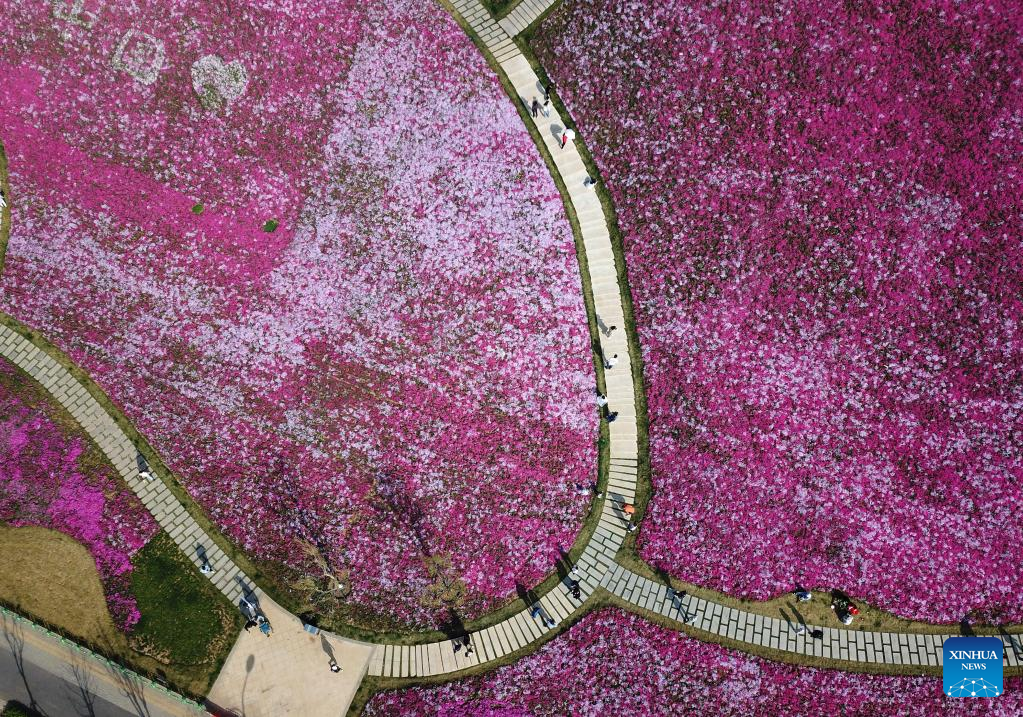 People view flowers in Jinan, Shandong