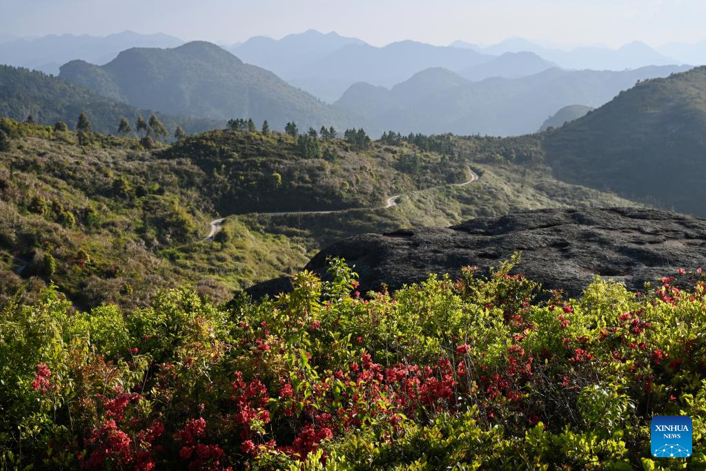 In pics: Wuhu Mountain national forest park in Fujian