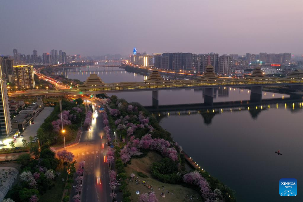 Night view of Liuzhou, S China's Guangxi