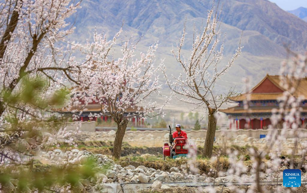 Farmers busy with spring farming across China