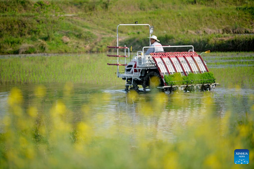 Farmers busy with spring farming across China