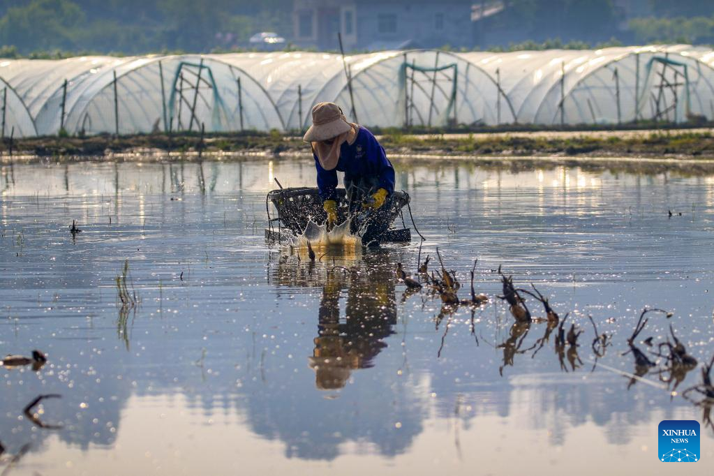 Farmers busy with spring farming across China