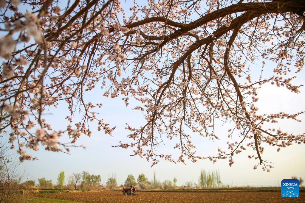 Farmers busy with spring farming across China