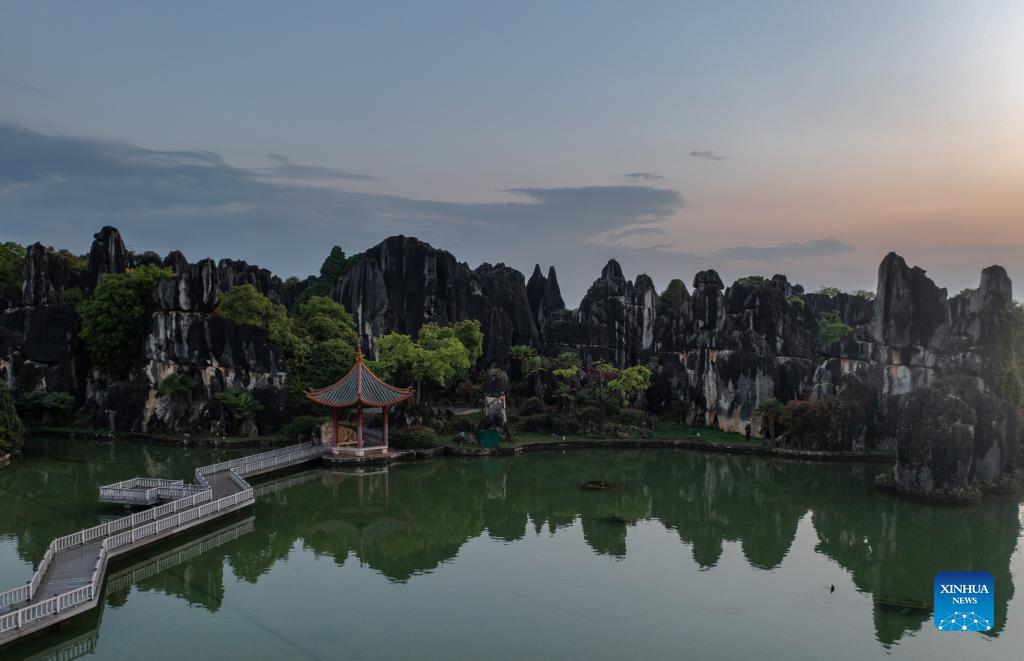 View of karst landscape in Shilin Yi Autonomous County, SW China's Yunnan