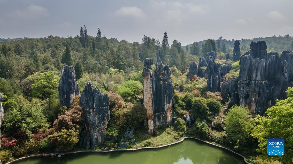 View of karst landscape in Shilin Yi Autonomous County, SW China's Yunnan
