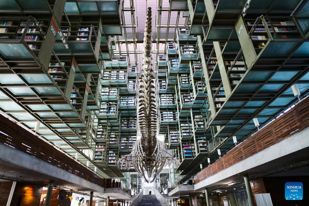 In pics: Vasconcelos Library in Mexico City