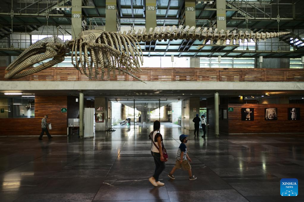 In pics: Vasconcelos Library in Mexico City