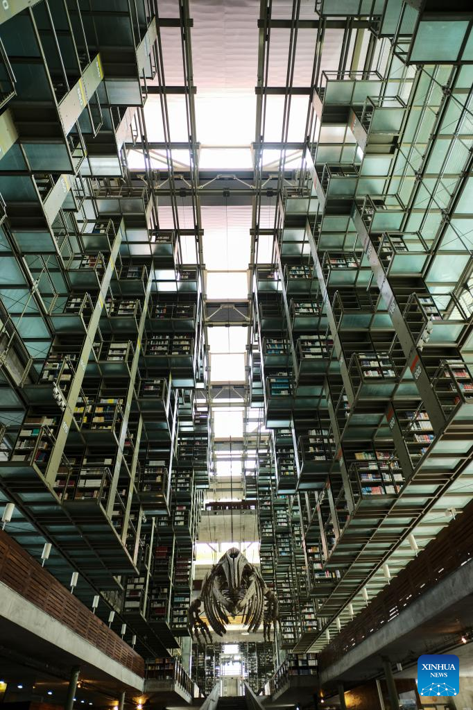 In pics: Vasconcelos Library in Mexico City