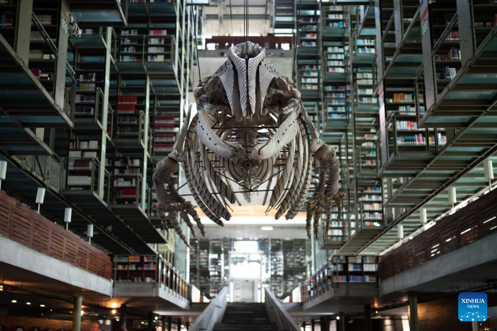 In pics: Vasconcelos Library in Mexico City