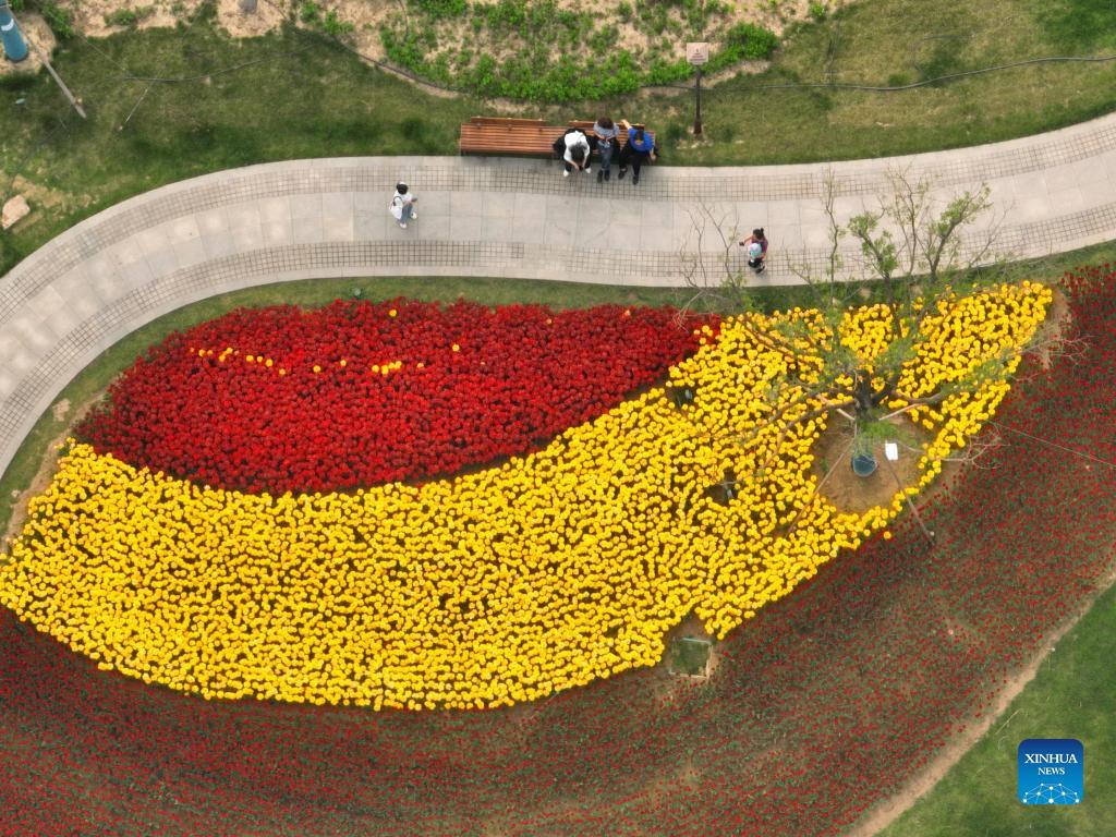 In pics: view of Yuerong Park in Xiong'an New Area