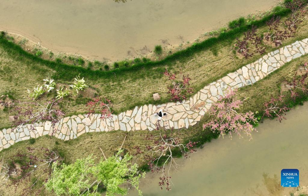 In pics: view of Yuerong Park in Xiong'an New Area