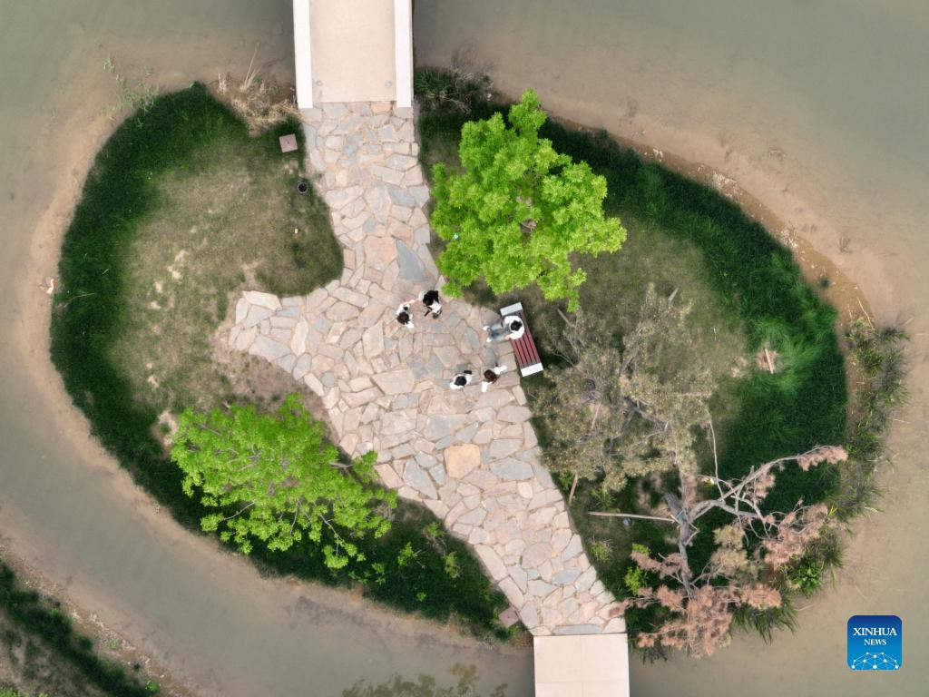 In pics: view of Yuerong Park in Xiong'an New Area