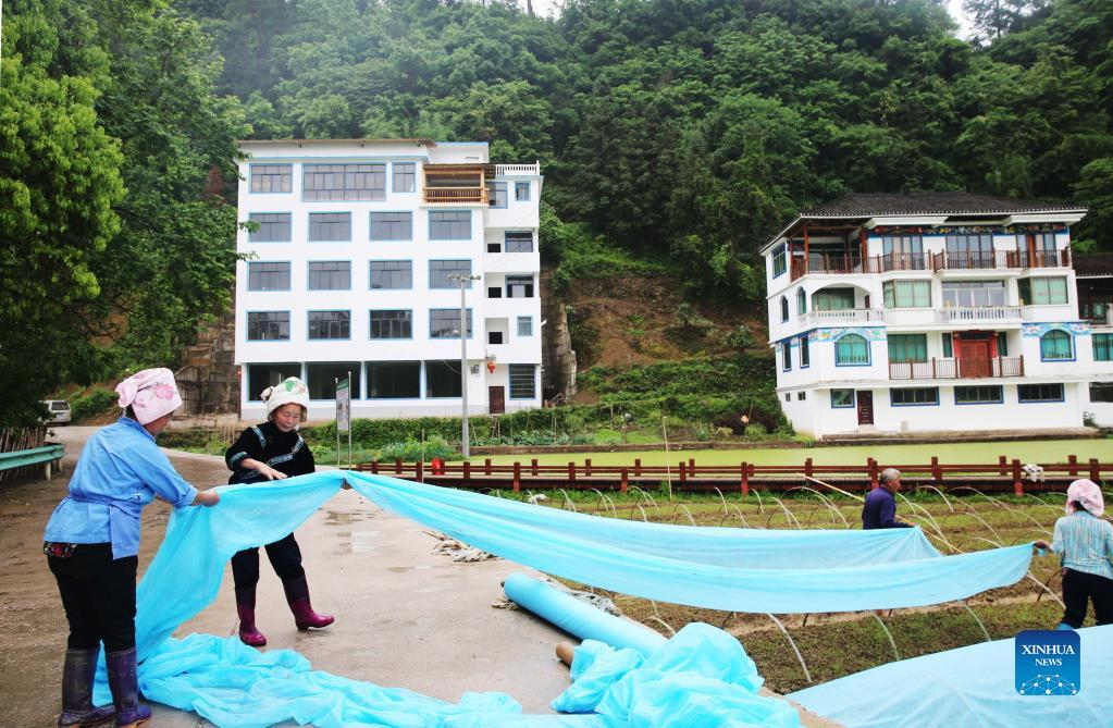 Spring farming in China's Guizhou