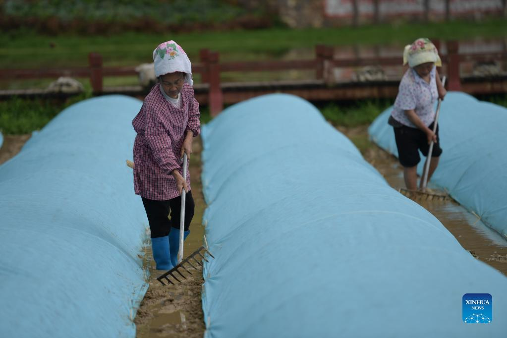 Spring farming in China's Guizhou