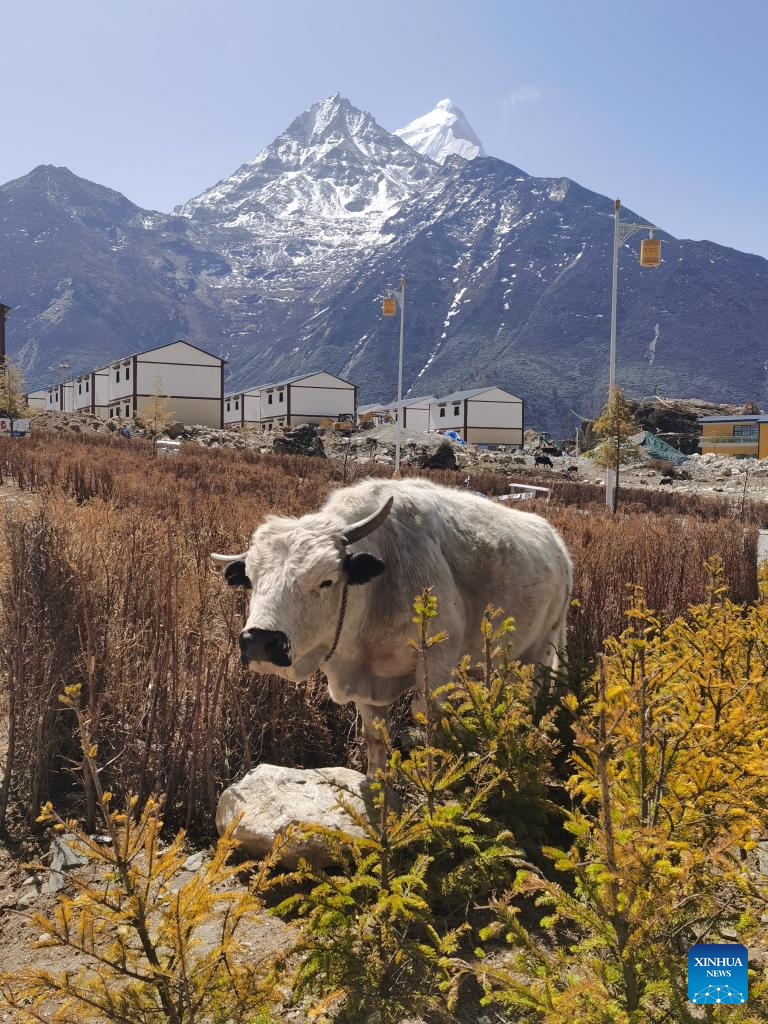 Across China: Remote Himalayan border town rises to modernity