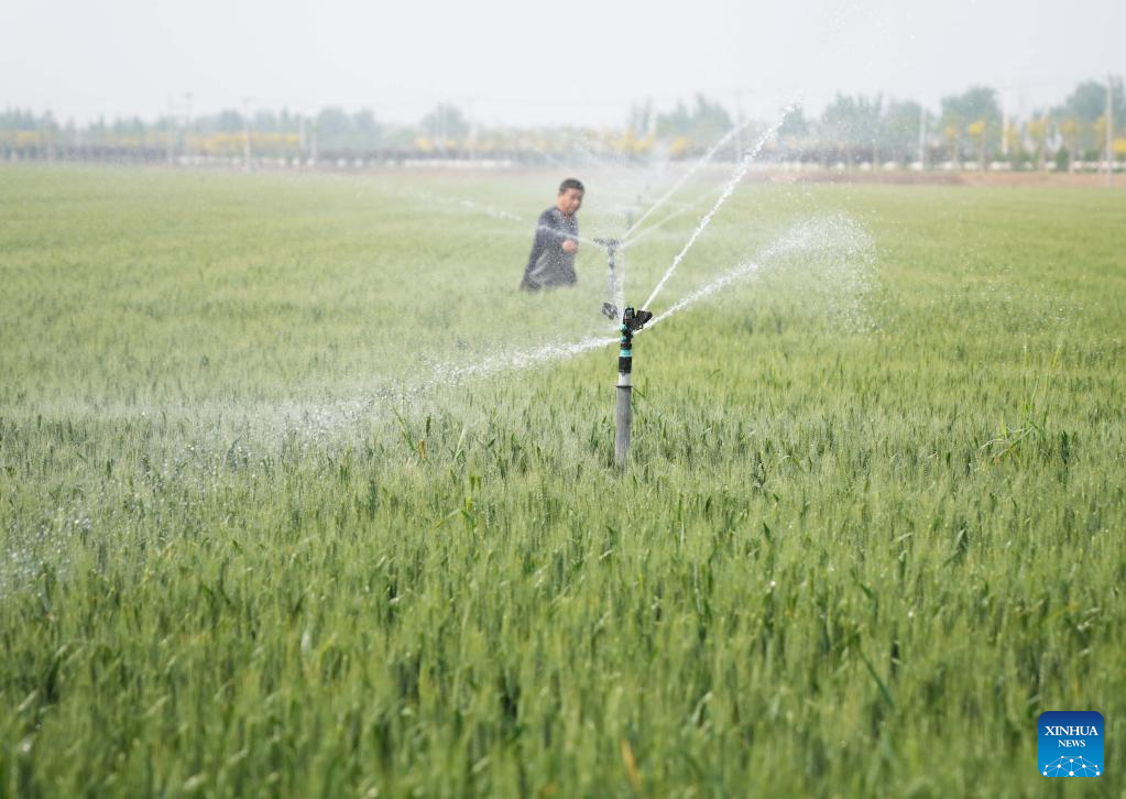 N China's Hebei steps up farming activities