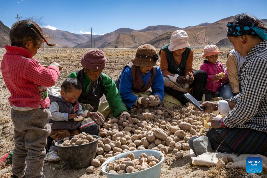 Spring farming begins in nearest administrative township to Mt. Qomolangma