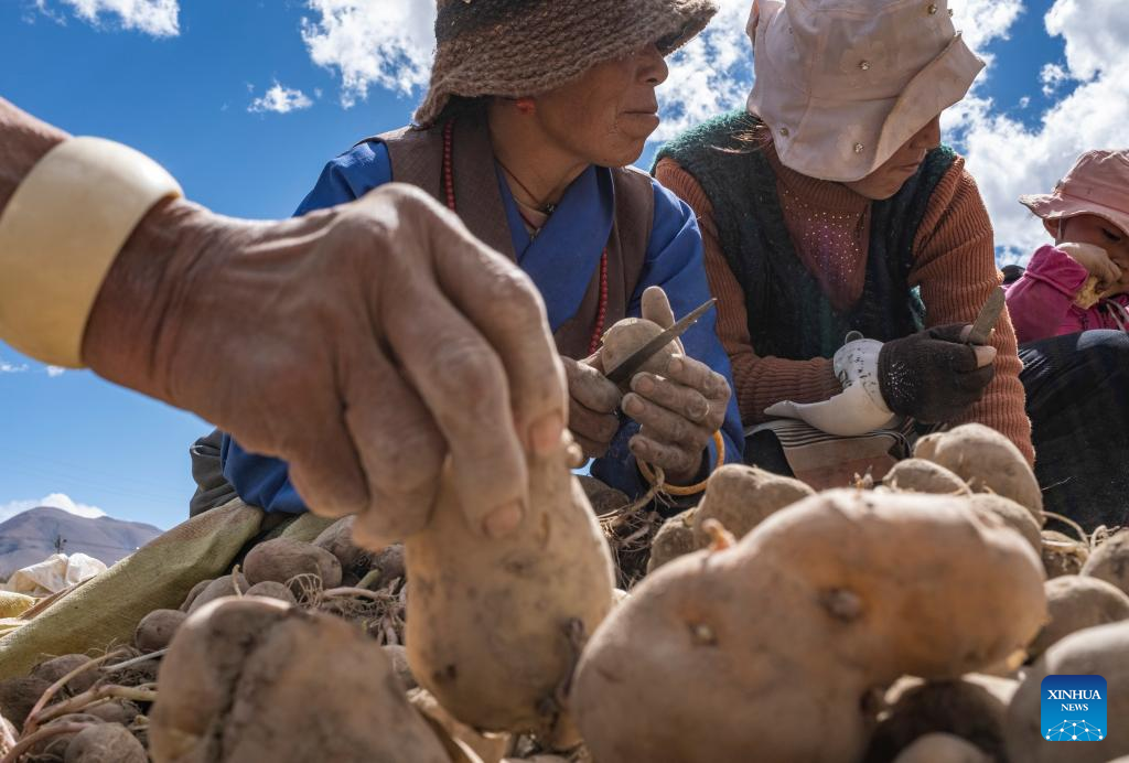 Spring farming begins in nearest administrative township to Mt. Qomolangma