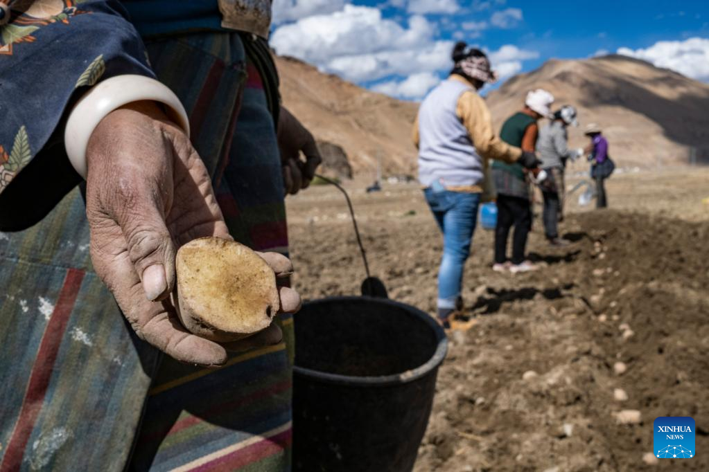 Spring farming begins in nearest administrative township to Mt. Qomolangma