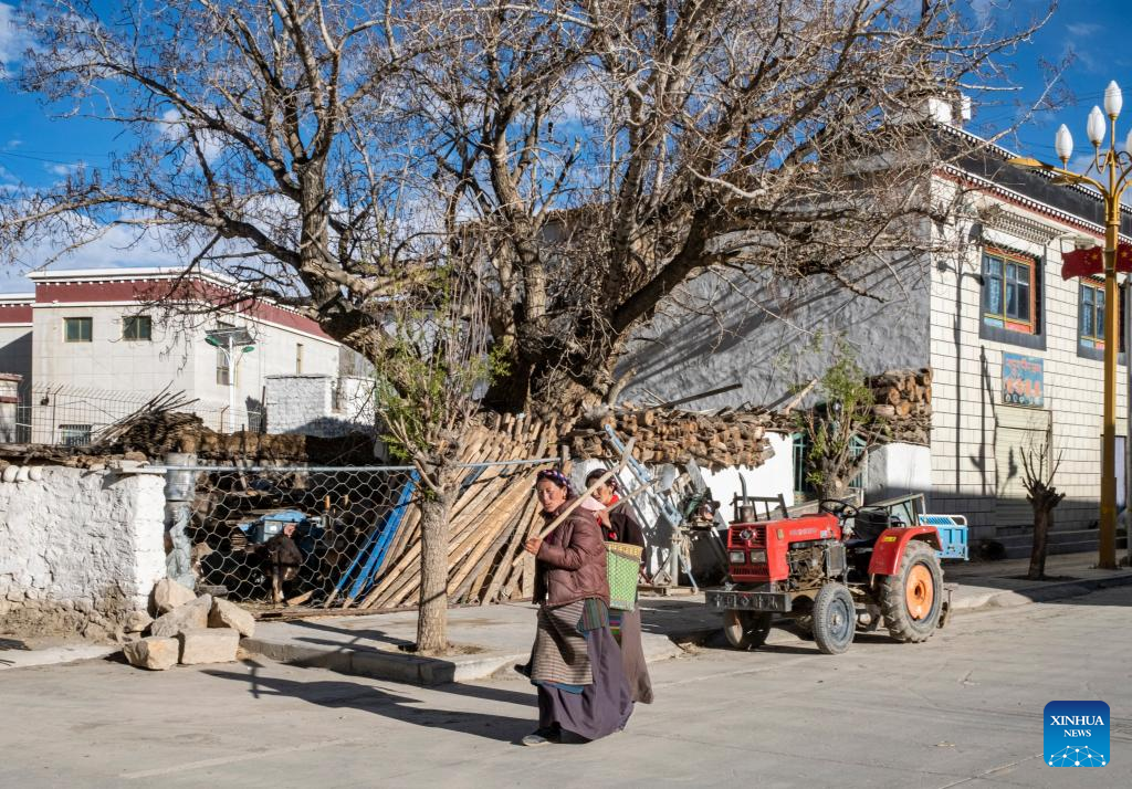 Spring farming begins in nearest administrative township to Mt. Qomolangma