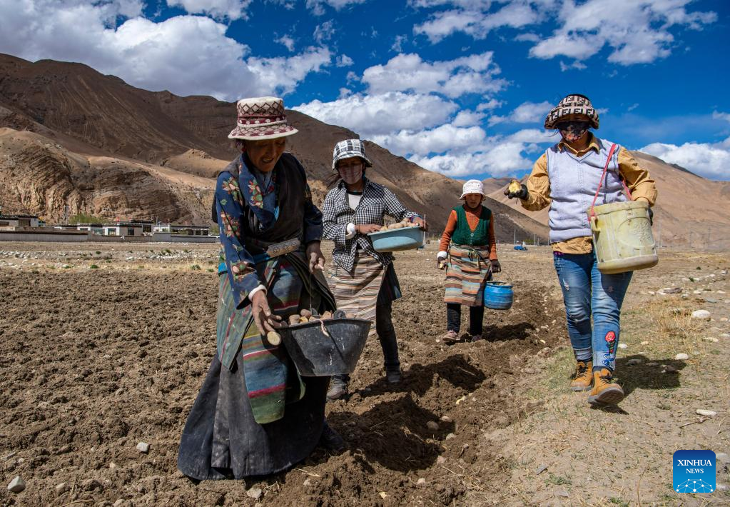 Spring farming begins in nearest administrative township to Mt. Qomolangma