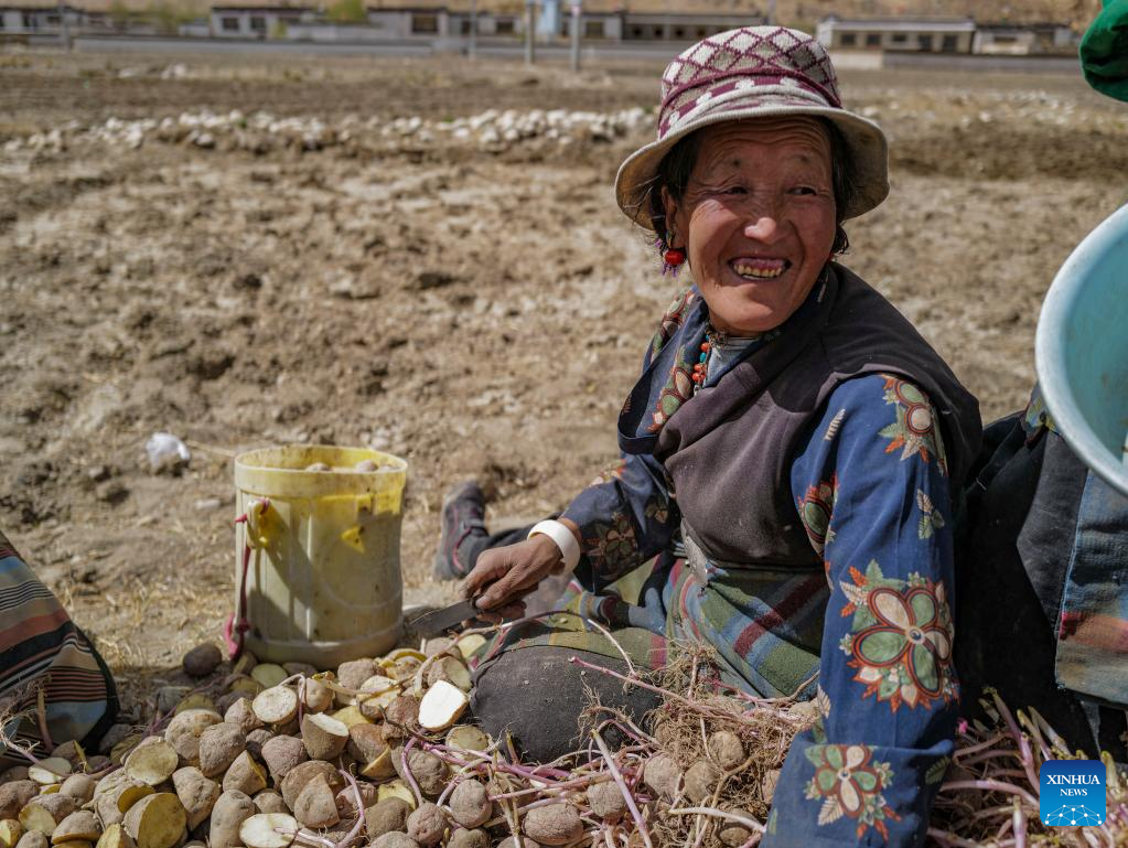 Spring farming begins in nearest administrative township to Mt. Qomolangma