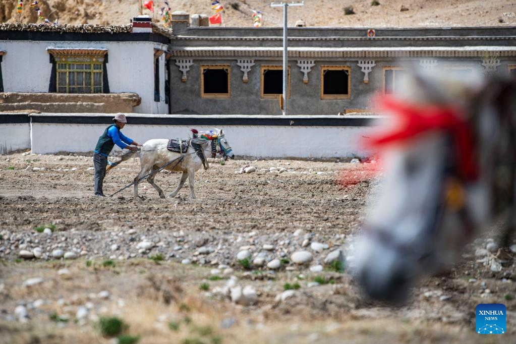 Spring farming begins in nearest administrative township to Mt. Qomolangma