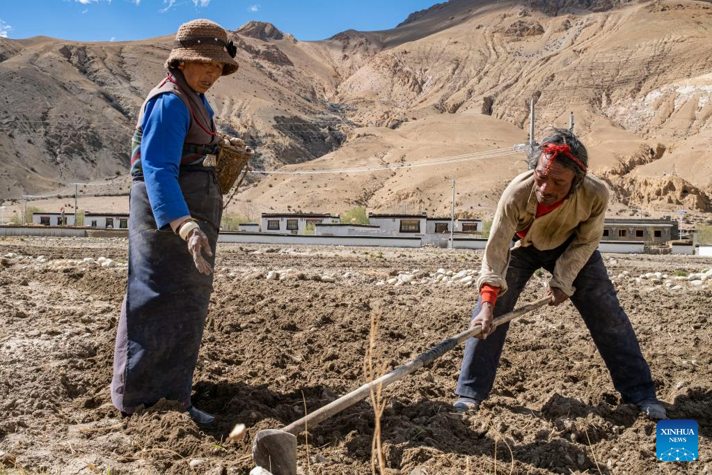 Spring farming begins in nearest administrative township to Mt. Qomolangma