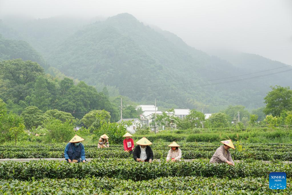 E China's Jinzhai County promotes industrial integration, agro-tourism
