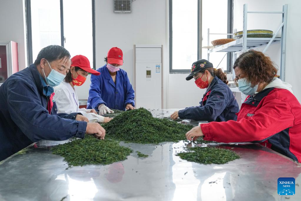 E China's Jinzhai County promotes industrial integration, agro-tourism