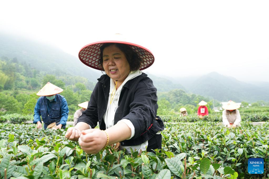 E China's Jinzhai County promotes industrial integration, agro-tourism