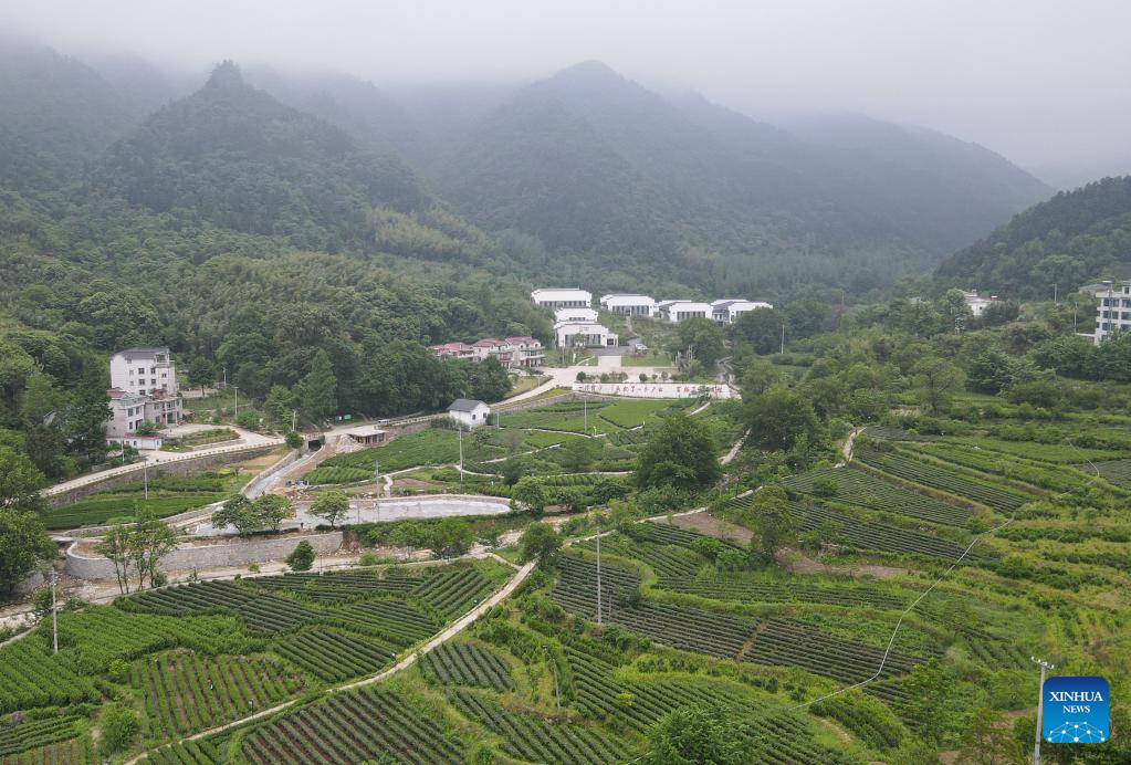 E China's Jinzhai County promotes industrial integration, agro-tourism