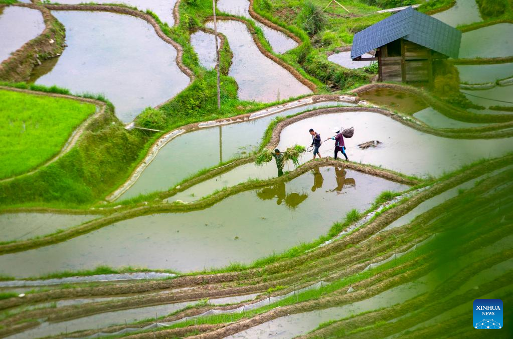 Farmers busy with summer farming across China