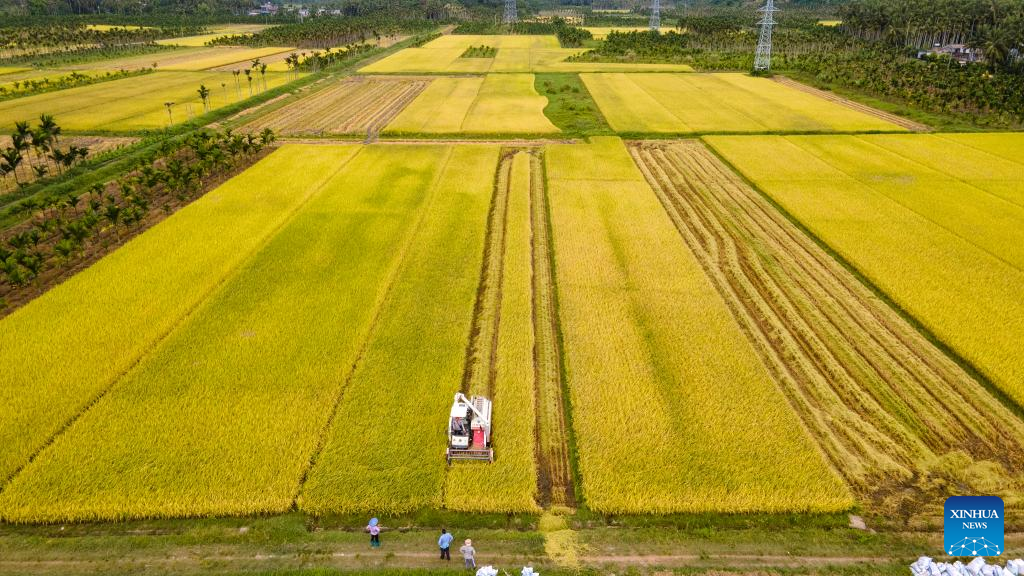 Farmers busy with summer farming across China