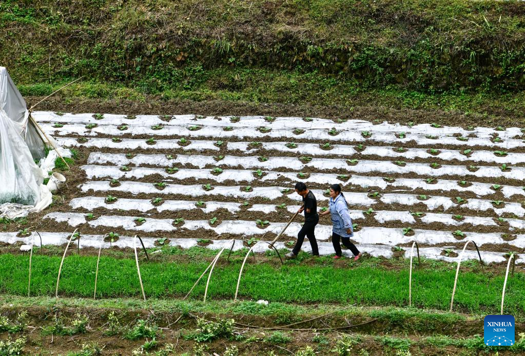 In pics: Life story of disabled couple in Guizhou, SW China