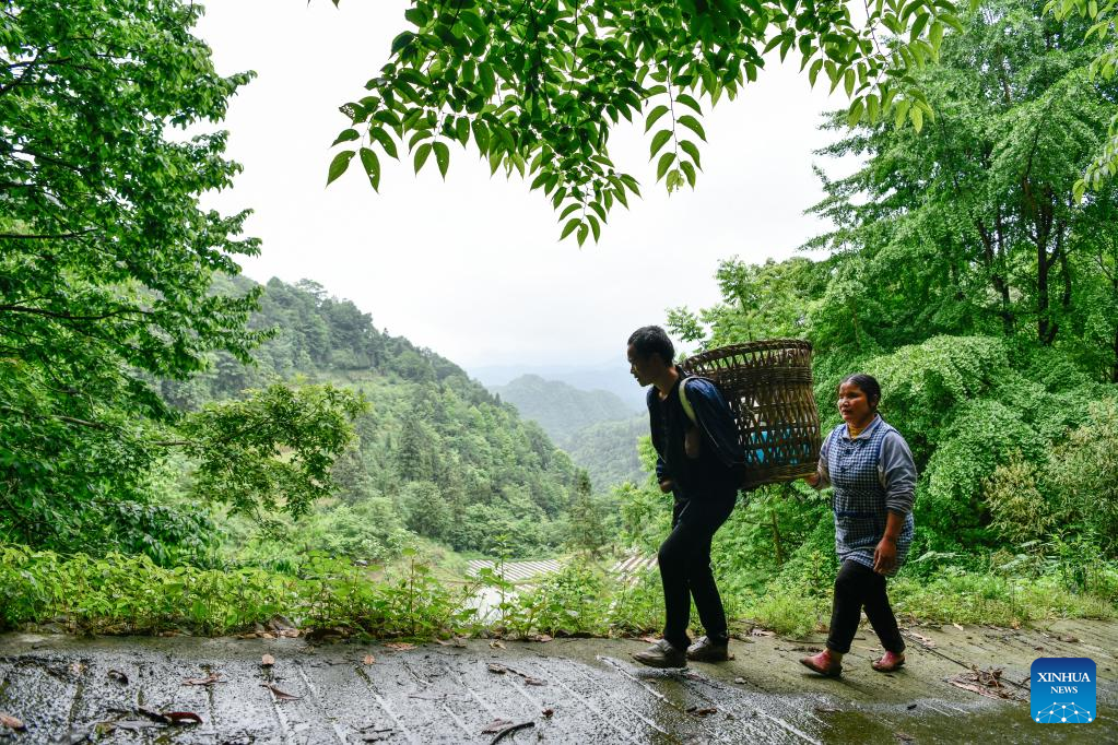 In pics: Life story of disabled couple in Guizhou, SW China