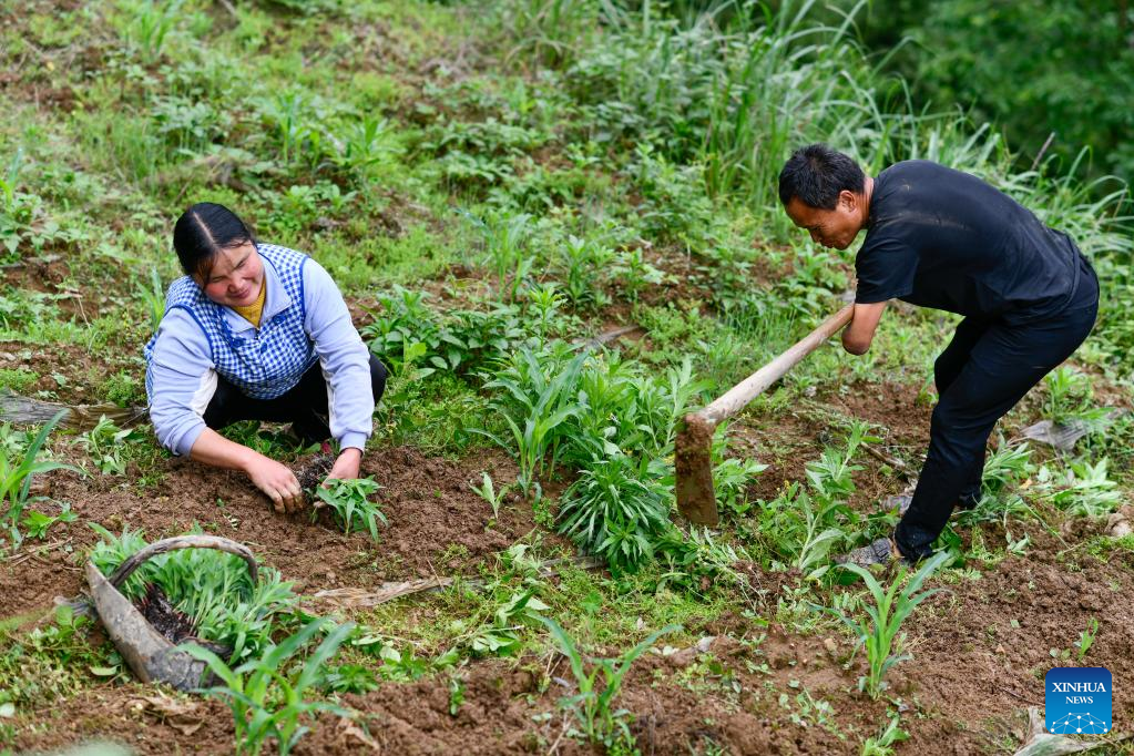 In pics: Life story of disabled couple in Guizhou, SW China