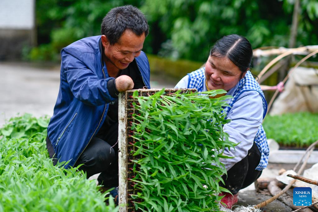 In pics: Life story of disabled couple in Guizhou, SW China