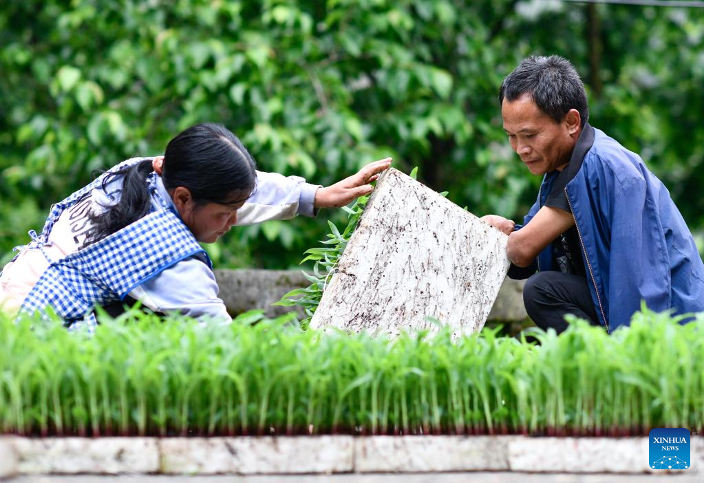 In pics: Life story of disabled couple in Guizhou, SW China