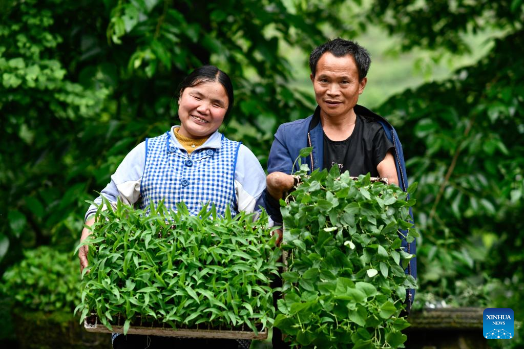 In pics: Life story of disabled couple in Guizhou, SW China