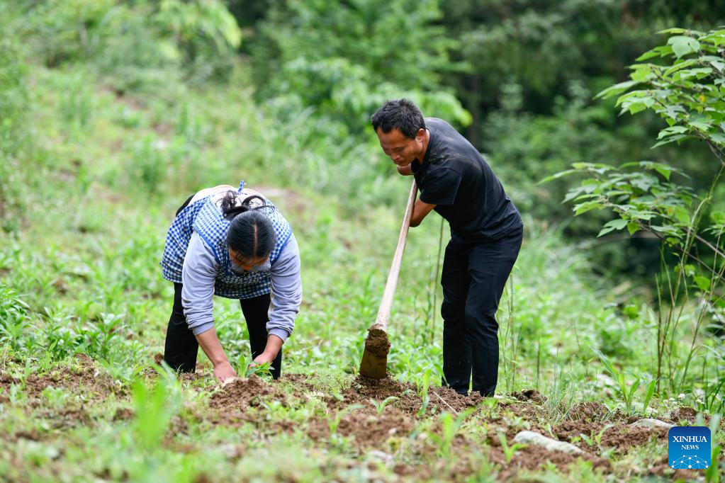 In pics: Life story of disabled couple in Guizhou, SW China