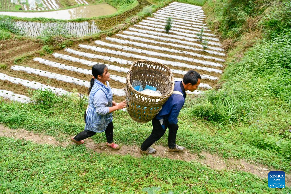 In pics: Life story of disabled couple in Guizhou, SW China