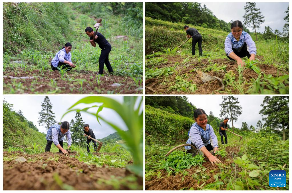 In pics: Life story of disabled couple in Guizhou, SW China