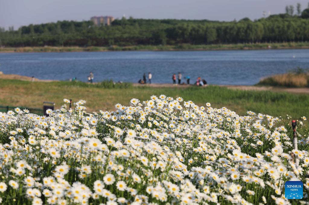 Sceneries of Hutuo River after ecological restoration in Shijiazhuang, N China