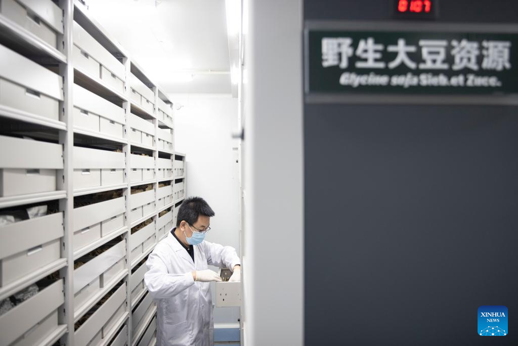 China's only seed bank for cold-region crops completes expansion in Heilongjiang