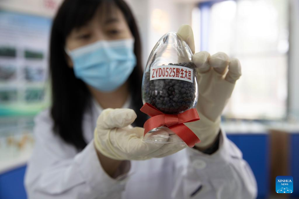China's only seed bank for cold-region crops completes expansion in Heilongjiang