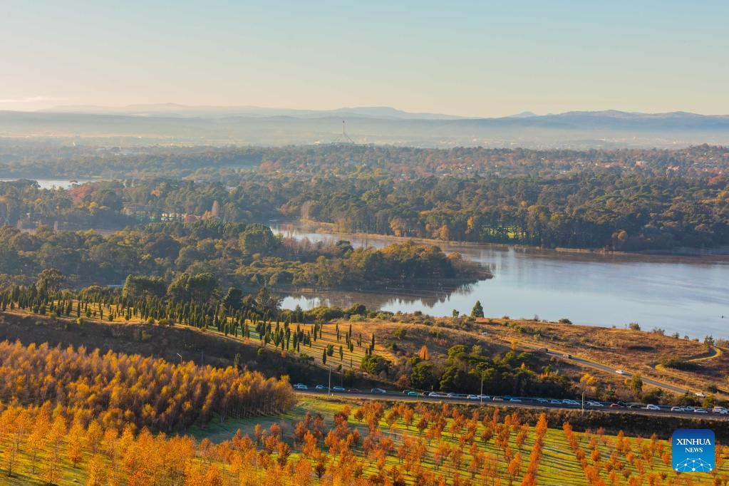Autumn scenery in Canberra, Australia